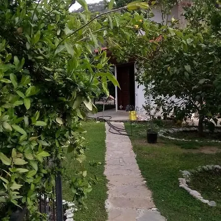 Villa Koza *