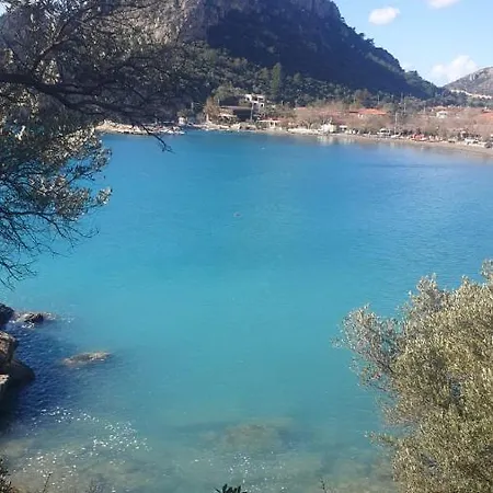 Villa Koza Döşeme