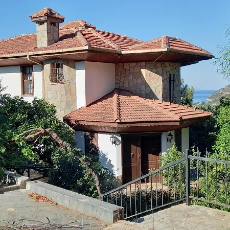 Koza * Döşeme