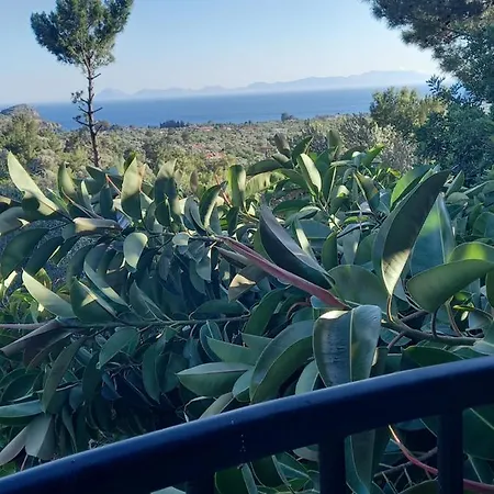 Koza Villa Döşeme