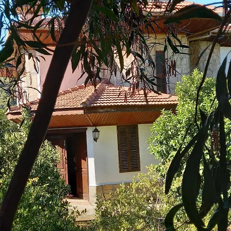 Koza Villa *