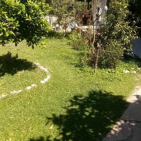 Koza Döşeme