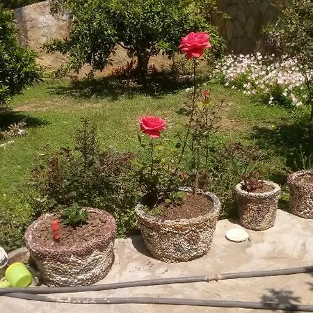 Koza Villa Döşeme
