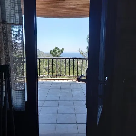 Koza * Döşeme
